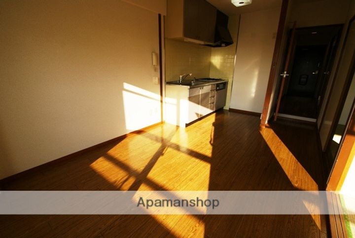 ハイネス幸B棟502のキッチン