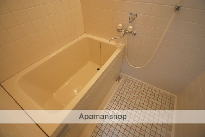 ハイネス幸B棟502の風呂