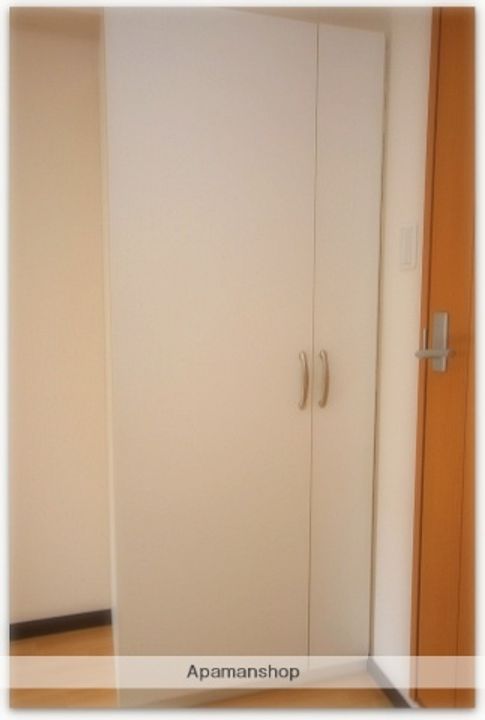 大阪府大阪市浪速区桜川4丁目の賃貸マンションの内装