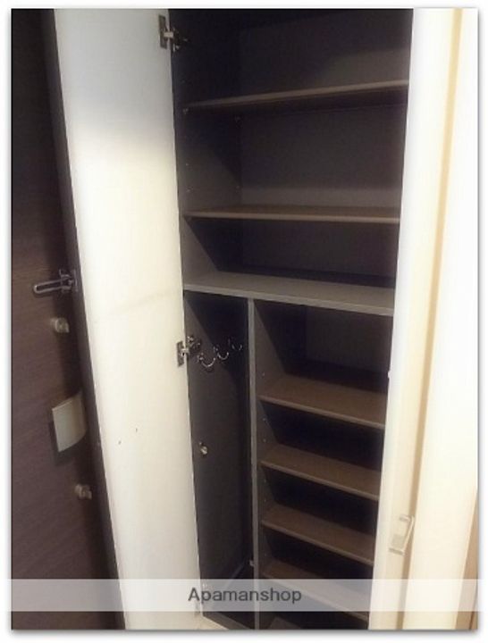 大阪府大阪市西区立売堀5丁目の賃貸マンションの内装