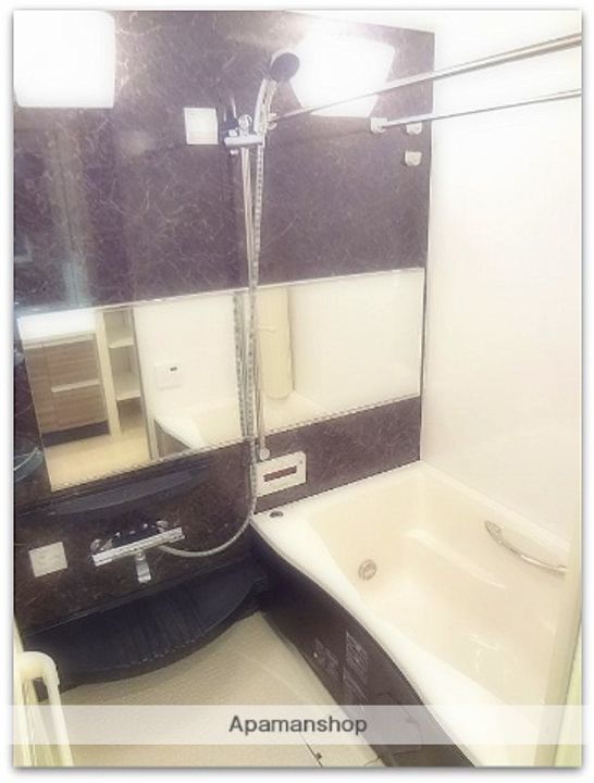 大阪府大阪市西区立売堀5丁目の賃貸マンションの風呂