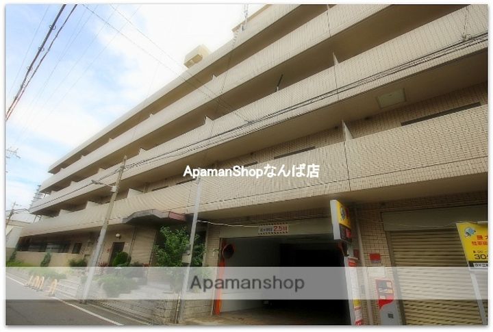大正メゾン(MAISON)の外観