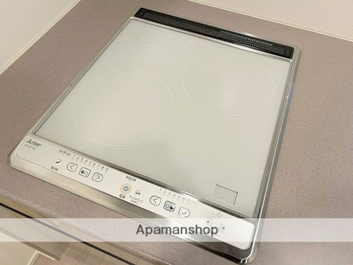 大阪府大阪市中央区上町1丁目の賃貸マンションの内装