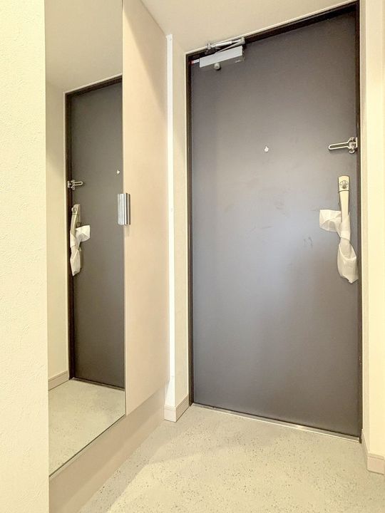 プレサンス朝潮橋ベイブリーズの内装