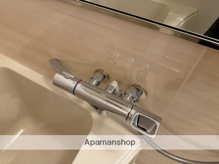 大阪府大阪市浪速区浪速東2丁目の賃貸マンションの内装