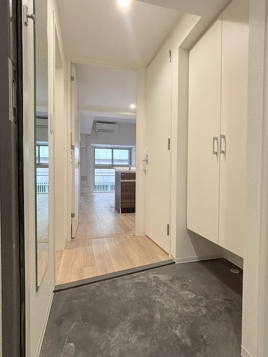 大阪府大阪市浪速区日本橋東1丁目の賃貸マンションの玄関