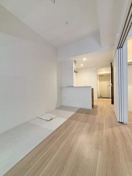 大阪府大阪市浪速区日本橋東1丁目の賃貸マンションの内装