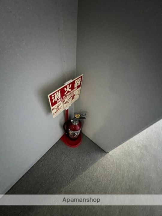 BIG MOGのその他画像