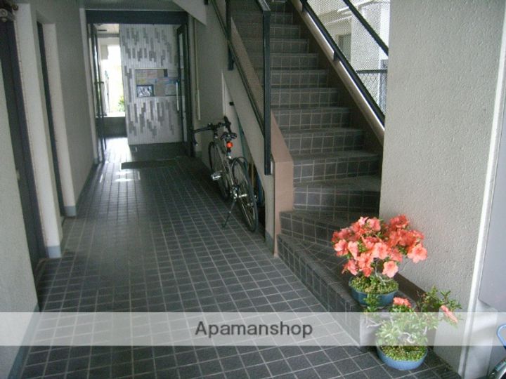 コアシスキタのその他画像