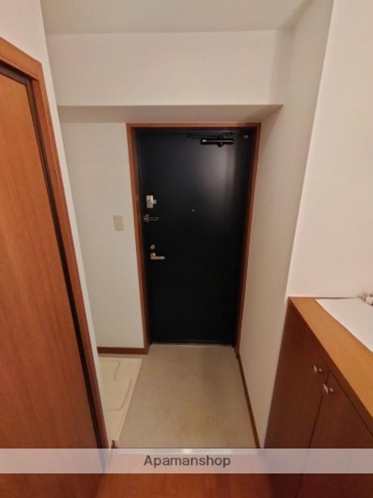 シティヒルズブライトの玄関