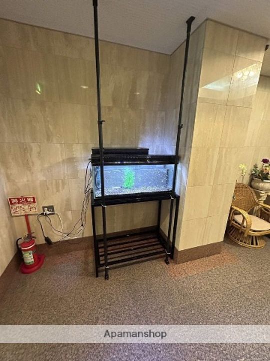 ジョリーフローラのその他画像