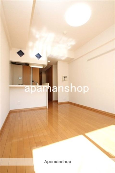 大阪府大阪市中央区久太郎町1丁目の賃貸マンションの居間