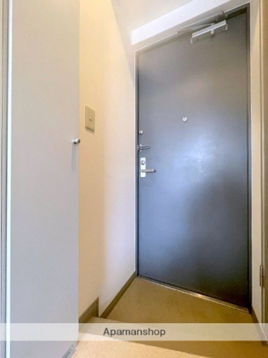 大阪府大阪市西区本田3丁目の賃貸マンションの玄関