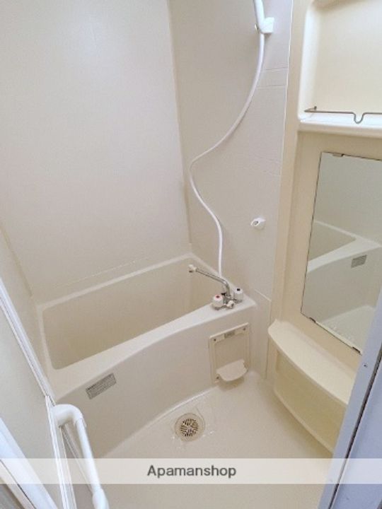 大阪府大阪市西区新町1丁目の賃貸マンションの風呂