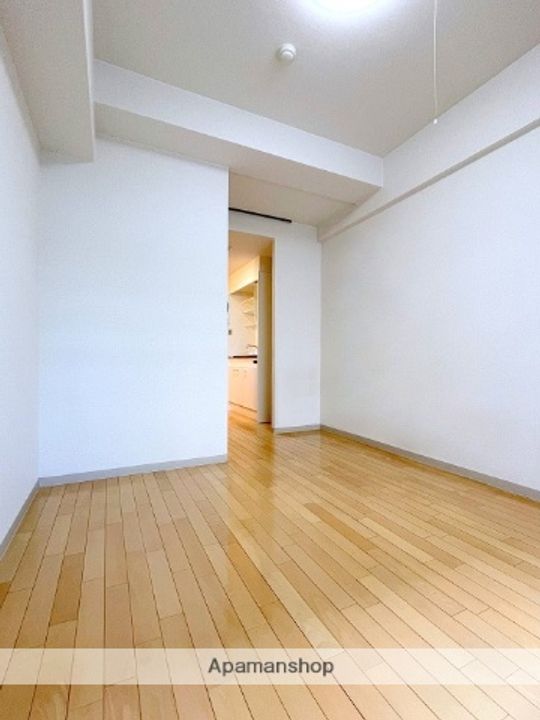 大阪府大阪市西区新町1丁目の賃貸マンションの居間