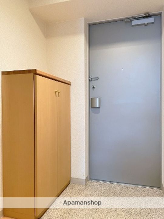 大阪府大阪市西区新町1丁目の賃貸マンションの玄関