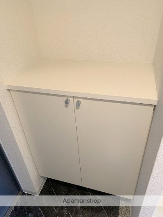 大阪府大阪市西区立売堀6丁目の賃貸マンションの玄関