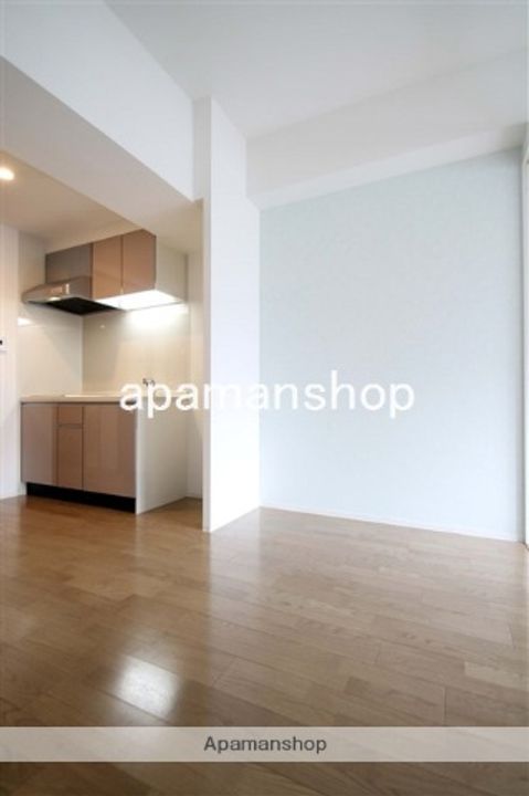 大阪府大阪市中央区松屋町の賃貸マンションの居間