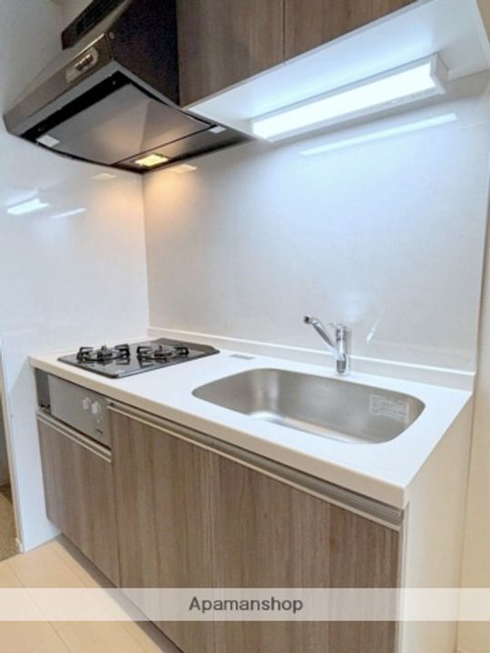 大阪府大阪市西区立売堀4丁目の賃貸マンションのキッチン