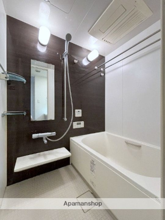 大阪府大阪市中央区南本町1丁目の賃貸マンションの風呂