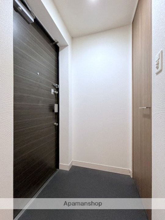 大阪府大阪市中央区南本町1丁目の賃貸マンションの玄関