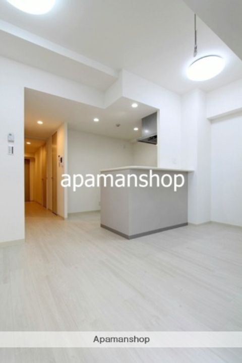 大阪府大阪市天王寺区上本町5丁目の賃貸マンションの内装