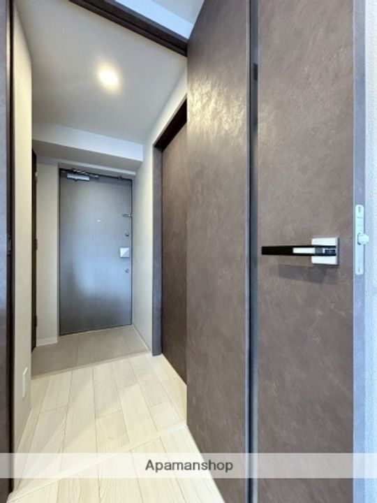 大阪府大阪市西区新町4丁目の賃貸マンションの玄関