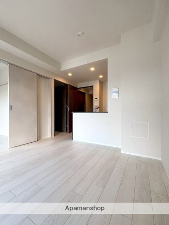 大阪府大阪市西区新町4丁目の賃貸マンションの居間