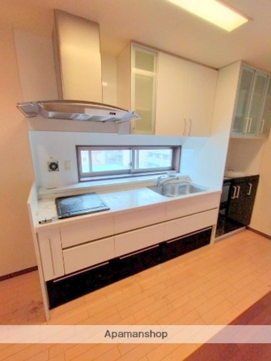 マスターズレジデンス道頓堀Ⅱのキッチン