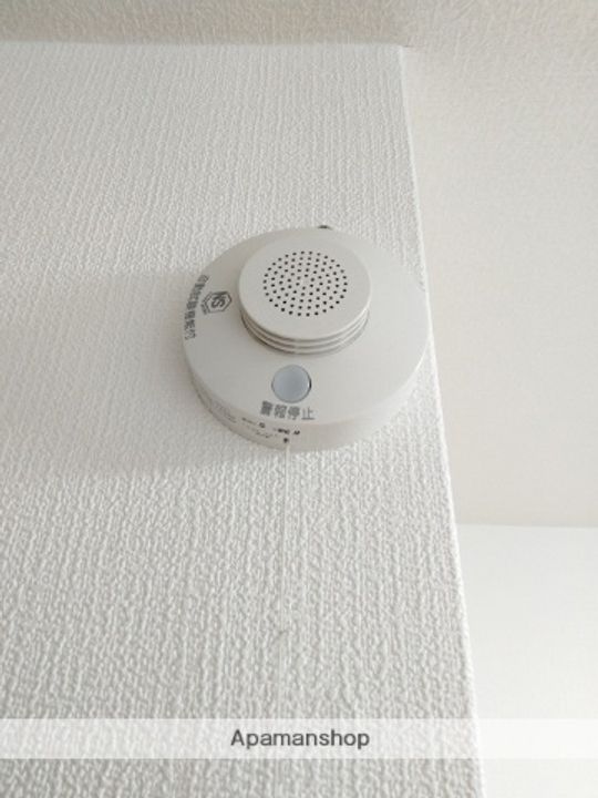 大阪府吹田市片山町1丁目の賃貸マンションの内装