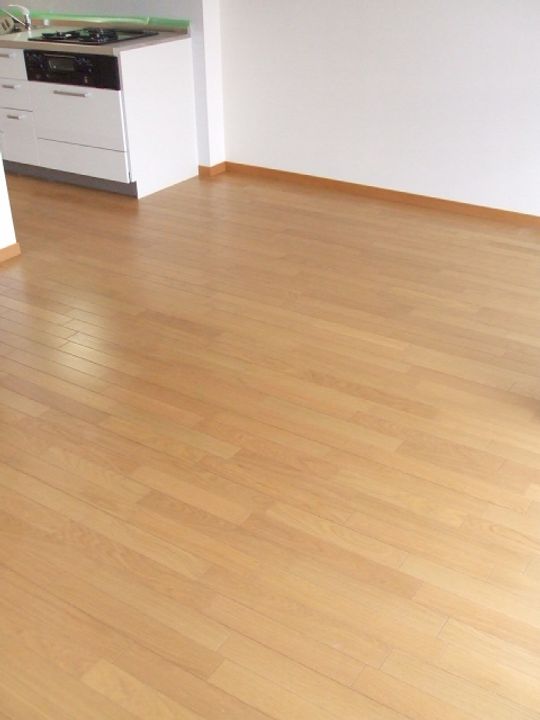 大阪府堺市北区東浅香山町2丁の賃貸マンションの内装