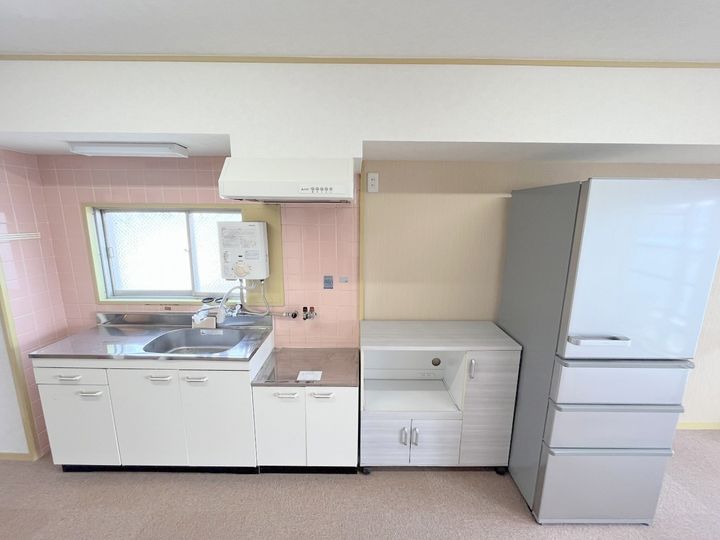 大阪府堺市北区東浅香山町2丁の賃貸マンションのキッチン