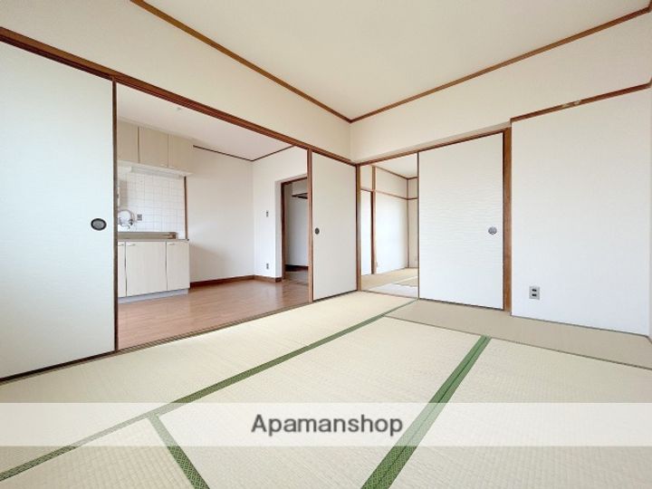 大阪府堺市北区長曽根町の賃貸マンションの内装