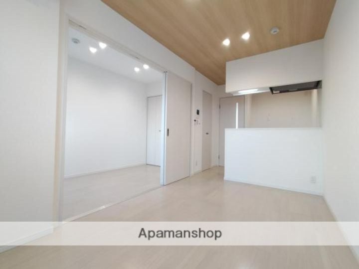 大阪府堺市堺区三宝町3丁の賃貸マンション203の内装