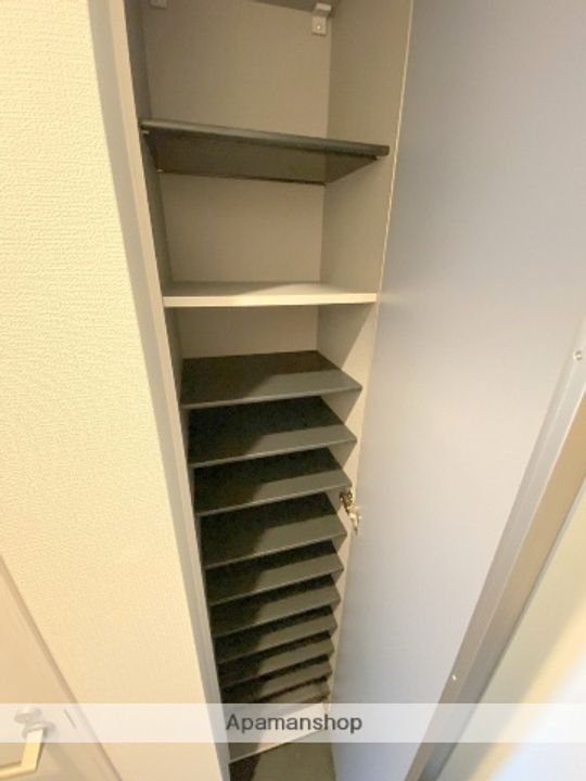 大阪府堺市堺区香ヶ丘町4丁の賃貸アパートの内装