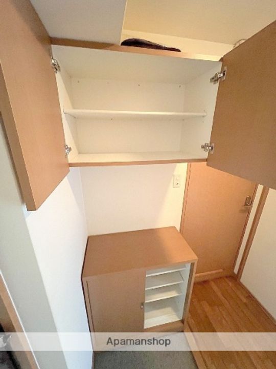 大阪府堺市中区大野芝町の賃貸マンションの内装