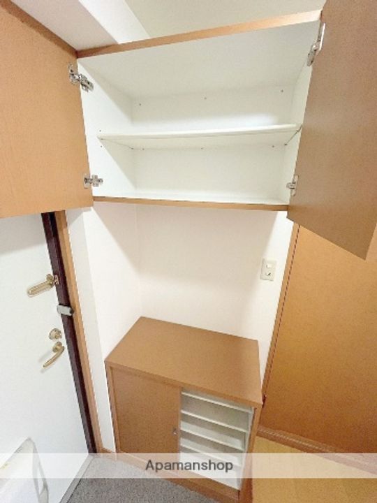 大阪府堺市中区大野芝町の賃貸マンションの内装