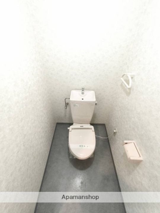 プリムローズIのその他画像