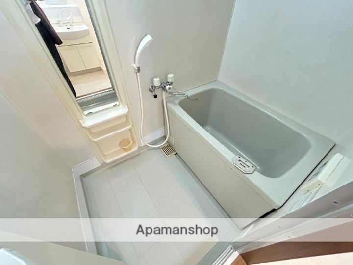 ルミエール201の風呂