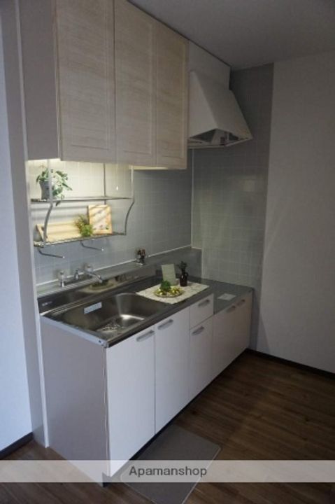 大阪府門真市寿町の賃貸マンションのキッチン