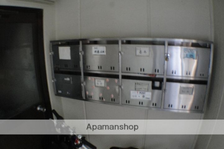 グリーンアミレットのその他画像