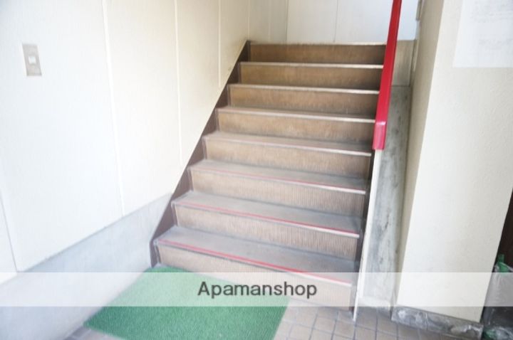 グリーンアミレットのその他画像