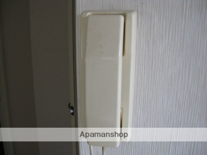 グリーンアミレットのその他画像