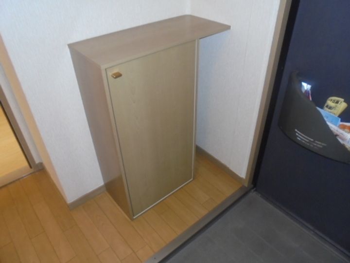 サンガーデンローズ203号室の玄関