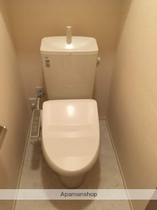 ソシュールのその他画像