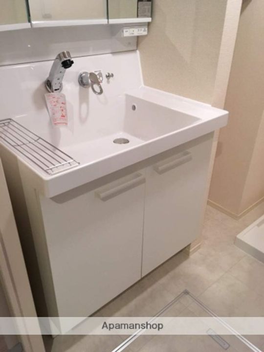 ソシュールのその他画像