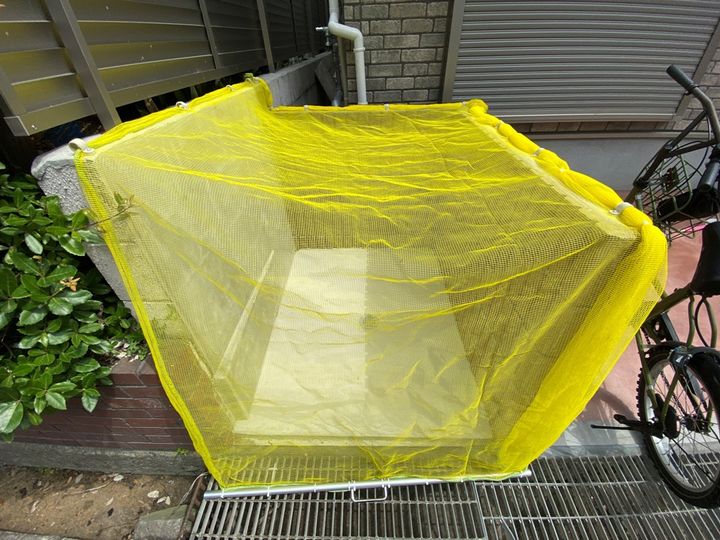 レオーネⅡのその他画像