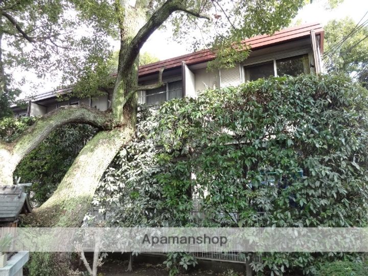 メゾン金岡205の外観