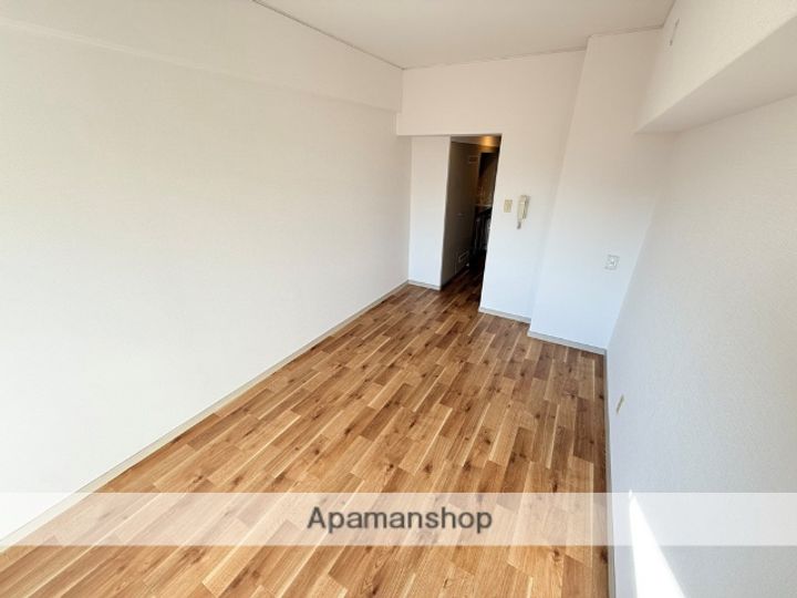 大阪府東大阪市長田東3丁目の賃貸マンションの内装