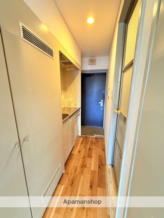 大阪府東大阪市長田東3丁目の賃貸マンションの内装